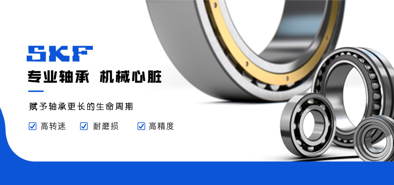 SKF轴承